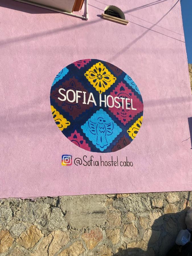 Sofia Hostel Cabo Cabo San Lucas Bagian luar foto